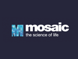 mosaic