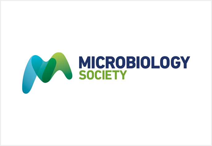micro